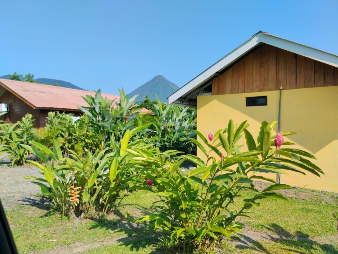 Cabana Rural Pura Vida La Fortuna Εξωτερικό φωτογραφία