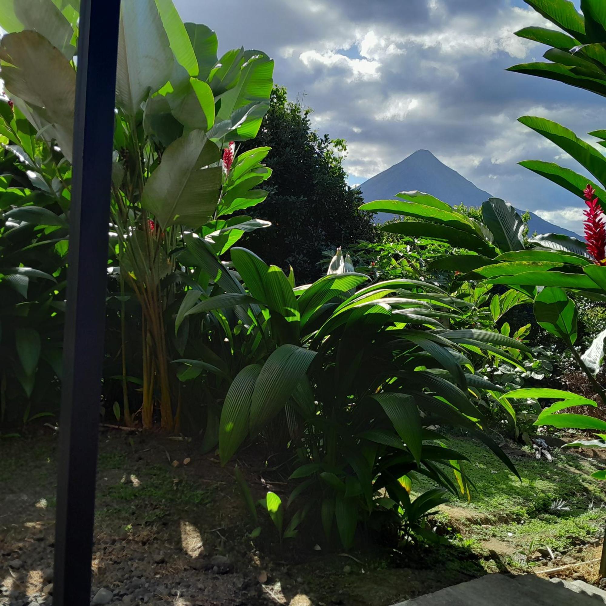 Cabana Rural Pura Vida La Fortuna Εξωτερικό φωτογραφία